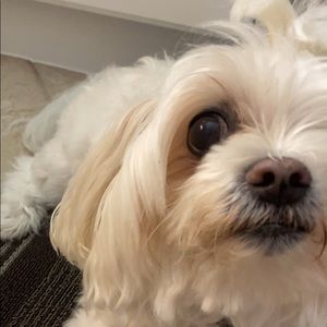 Meet your Posher, Anabella